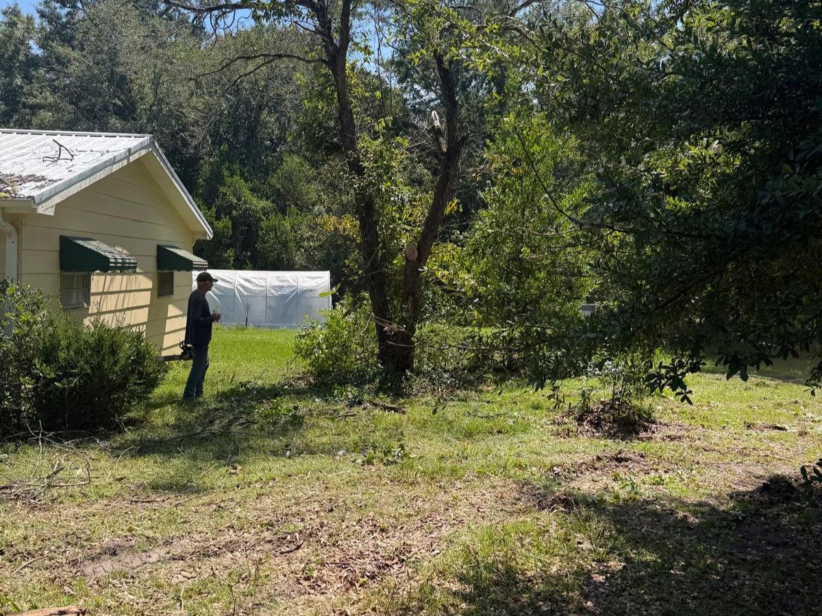 El Costeño Tree Service LLC